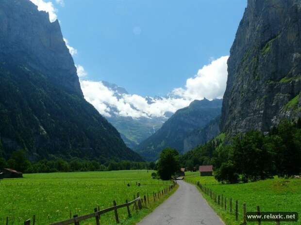 nature_030
