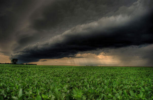 Грозовой воротник