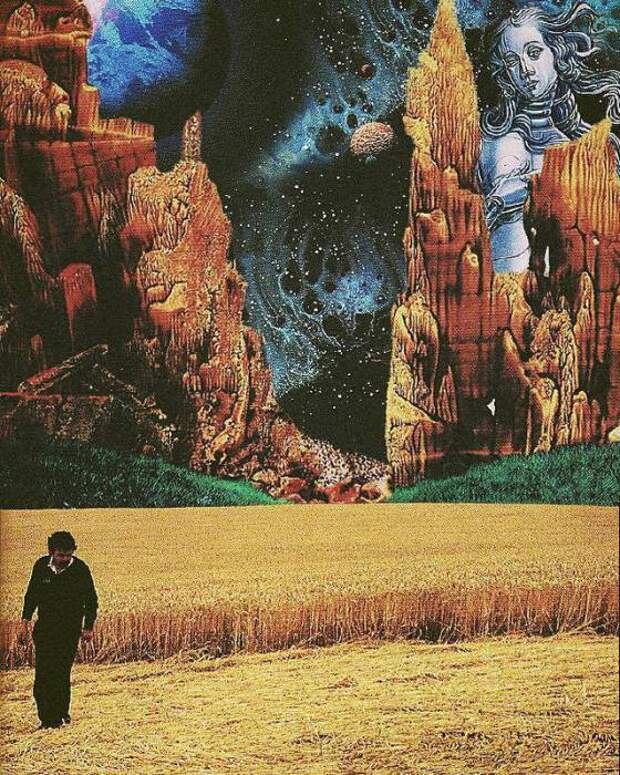 Поле мечты. Автор: Ayham Jabr.