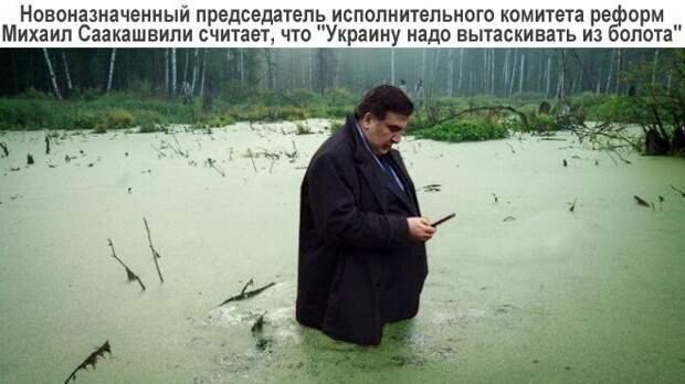 Политические картинки
