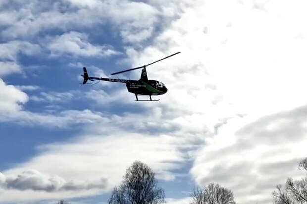 "ЛизаАлерт": к поискам детей в Звенигороде привлекут вертолет