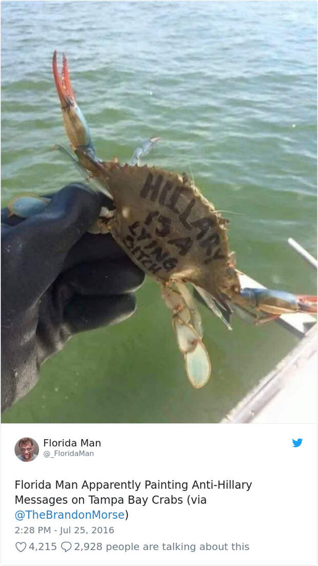 Florida-Man-Headings