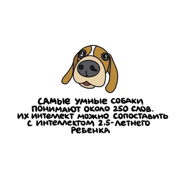 Интересные, но короткие факты на все случаи жизни