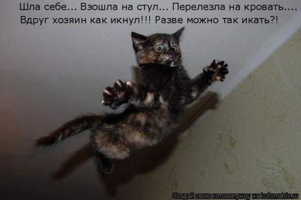 Мысли вслух :)