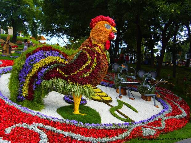 Выставка цветов 2012 в Киеве.