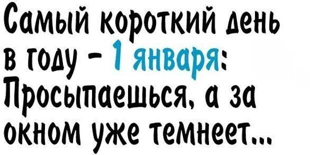 Новогодние приколы