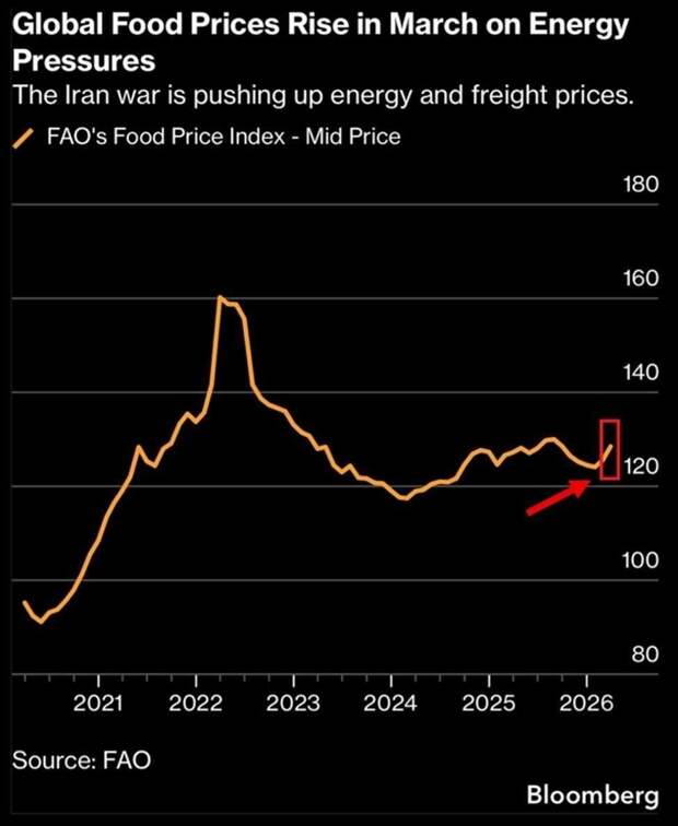 В мире начали расти цены на продовольствие из-за резкого увеличения затрат на