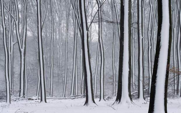 Фотоподборка за 10.02.2015 Фотоподборка за 10.02.2015 интересное, фото