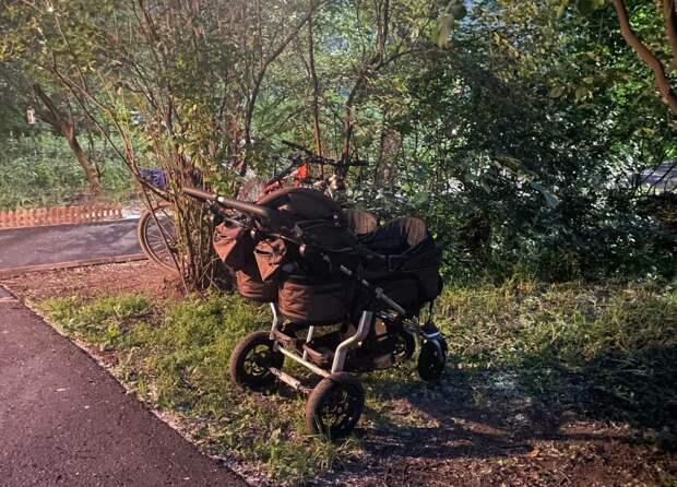 В Кудрово ксенофобка обматерила и приписала мамочек из Улан-Удэ к мигрантам