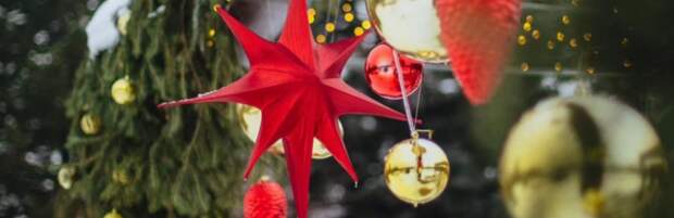 Как будет работать ботсад Алматы в праздники