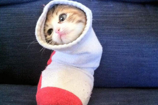 I guess it's kind of cozy.