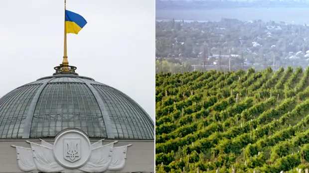 «Фантастические видения»: в России ответили на призыв депутата Рады «силой вернуть» Кубань и Кавказ