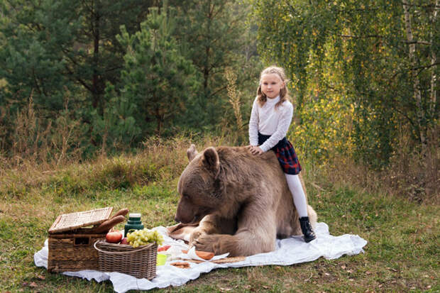 Пикник на природе с бурым медведем. Фото: Ольга Баранцева.