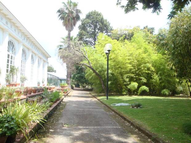 Ботанический сад Неаполя находится на улице Фориа