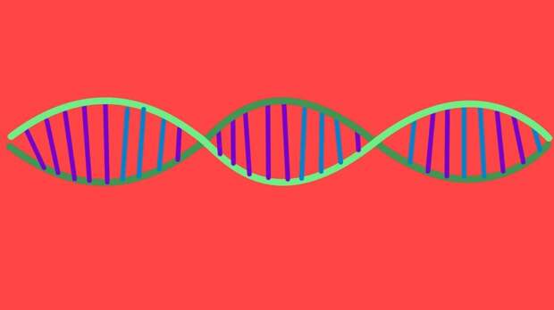 DNA data storage double helix CRISPR