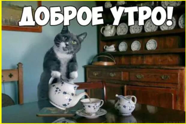 Утренний юморок