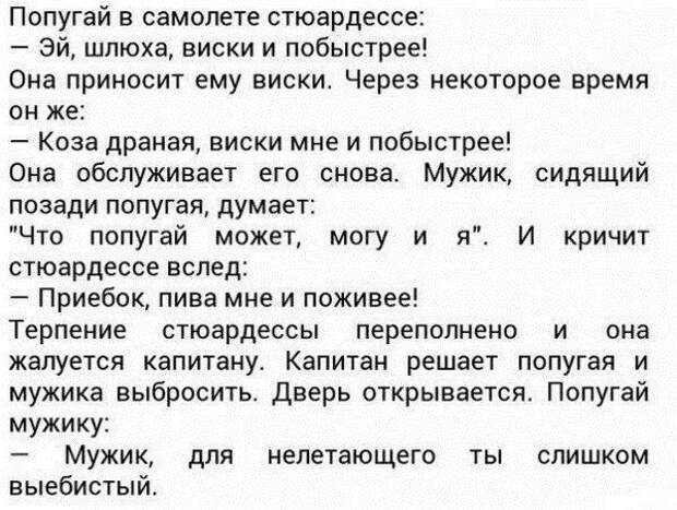 Весёлые комментарии, фото, картинки и прочее