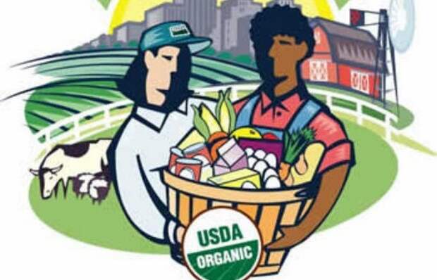 Штамп USDA Organic на импорте?