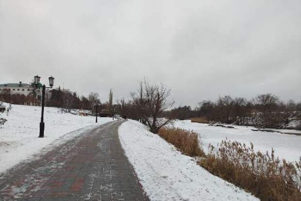 После сильных морозов в Тамбов пожалует оттепель