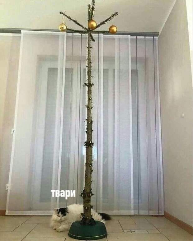 Твари)))