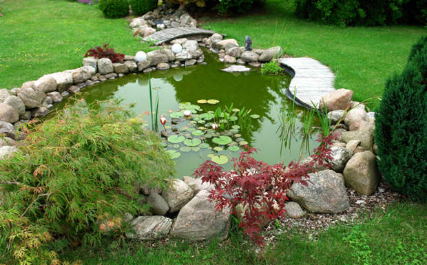 Зелёный пруд в саду