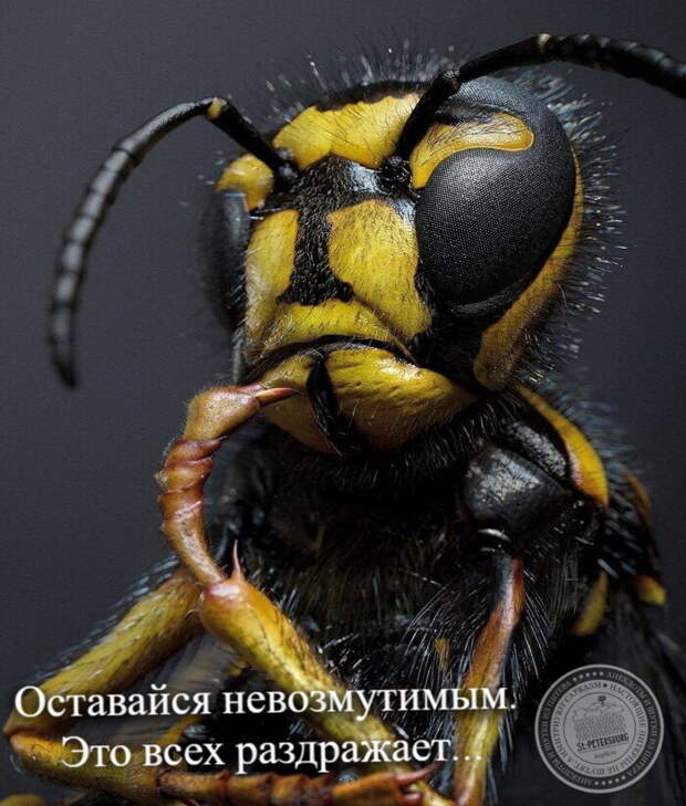 Это всех раздражает