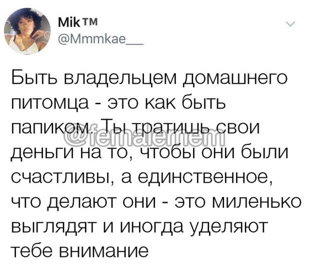 Киса и папик