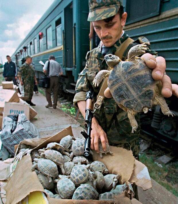 контрабанда