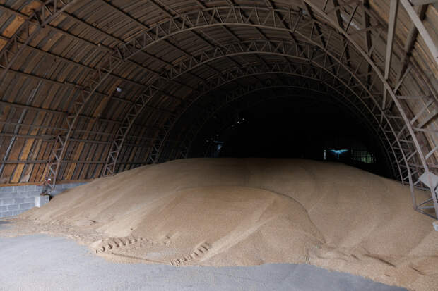 Еще несколько стран перестали покупать пшеницу у России