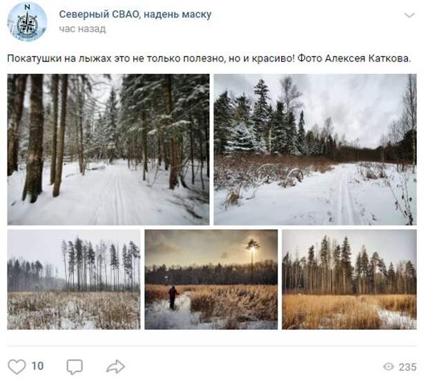 Как в сказке: фоторепортаж с лыжного путешествия в Северном