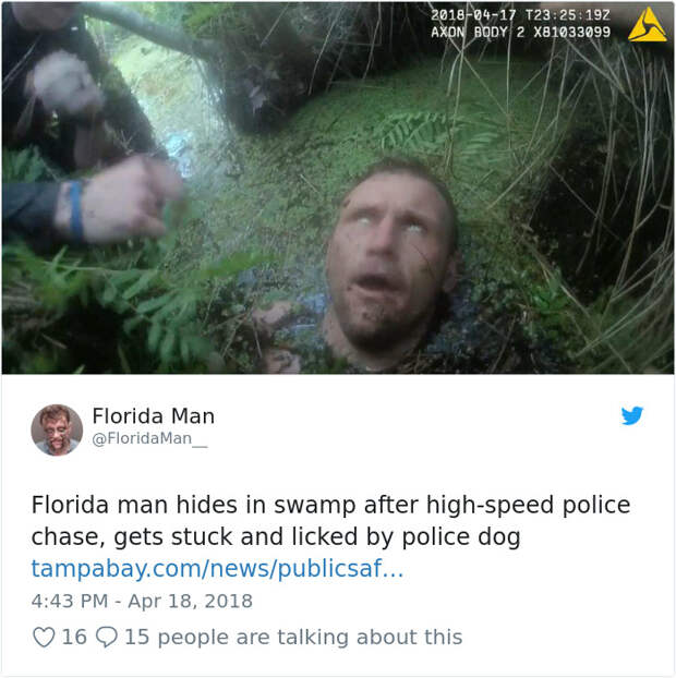 Florida-Man-Headings