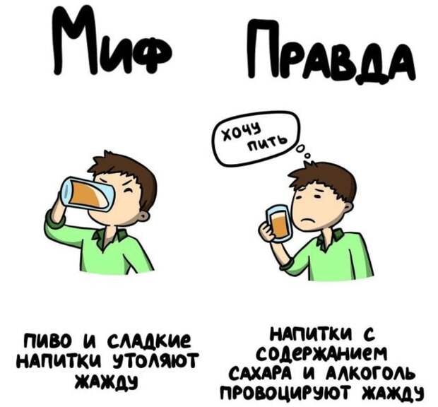 Интересные короткие факты на все случаи жизни