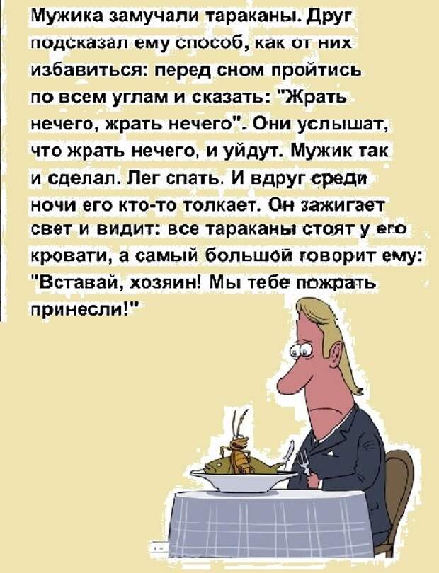Анекдоты, истории и картинки с надписями