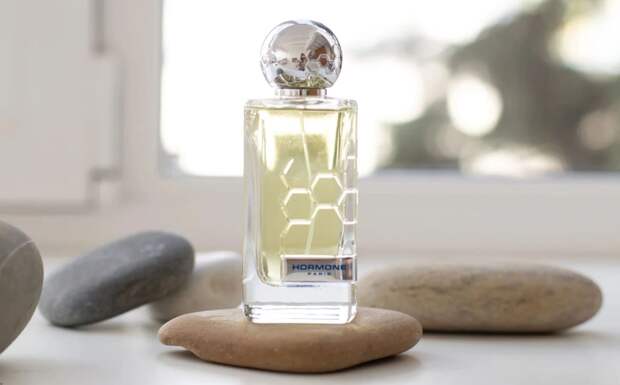 Модные шлейфовые женские духи для зимы