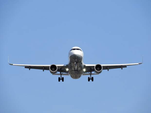 Пассажир «Уральских авиалиний» пытался открыть дверь самолета на рейсе в Москву