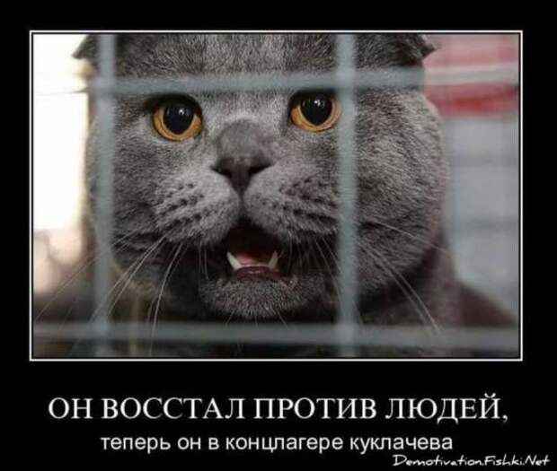 Демотиваторы. Подборка chert-poberi-dem-chert-poberi-dem-24040919052020-10 картинка chert-poberi-dem-24040919052020-10