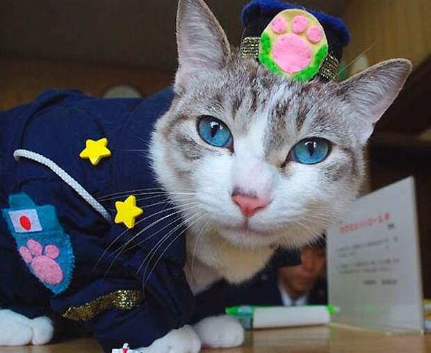 17-japan-police-cat