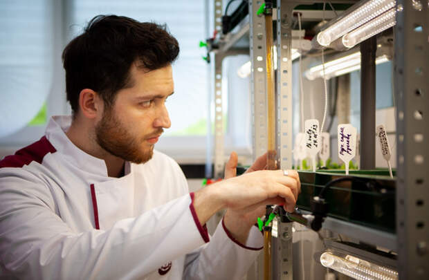 В СибГМУ создана лаборатория клеточных и микрофлюидных технологий мирового уровня