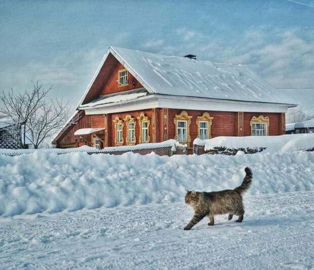 Фотографии русской деревни, которые вызывают ностальгию Фотографии русской деревни, которые вызывают ностальгию