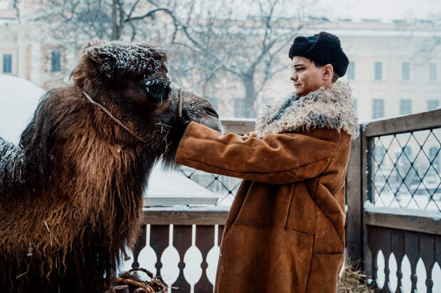 Солдатам о зверятах: «Красавица» — история о неочевидных героях, основанная на реальных событиях