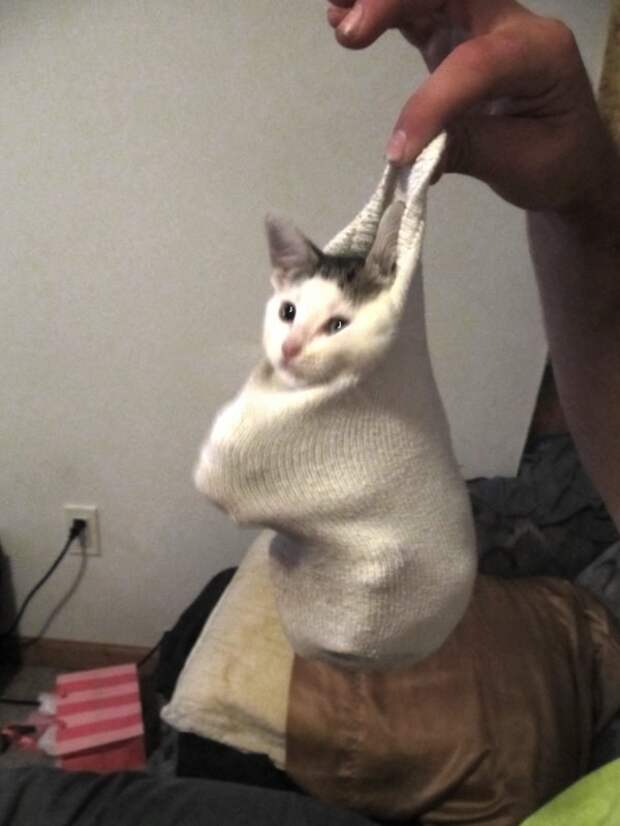 What is this soft bag you put me in?