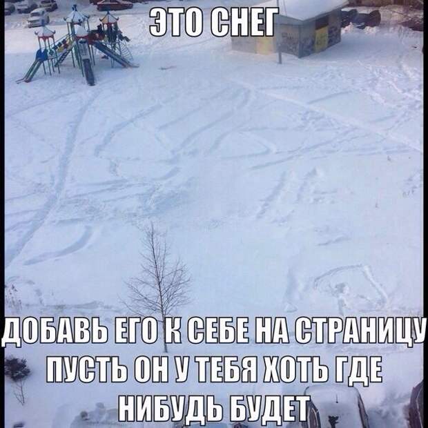 Новогодние приколы