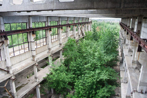Заброшенное промышленное здание в Воронежской области