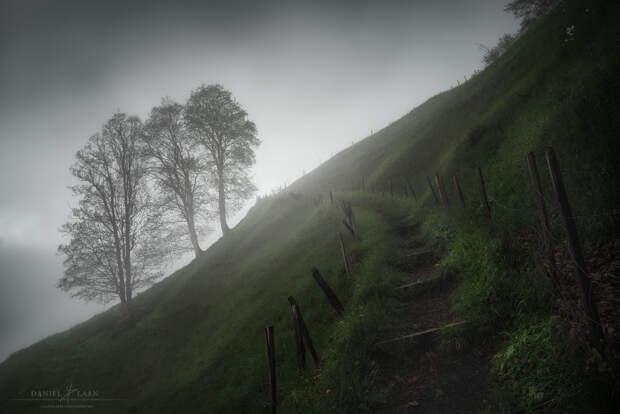 Wrought by Daniel Laan on 500px.com