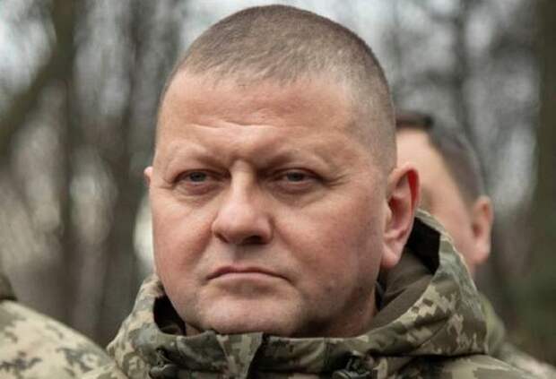 Зеленский уволил Залужного с военной службы по состоянию здоровья