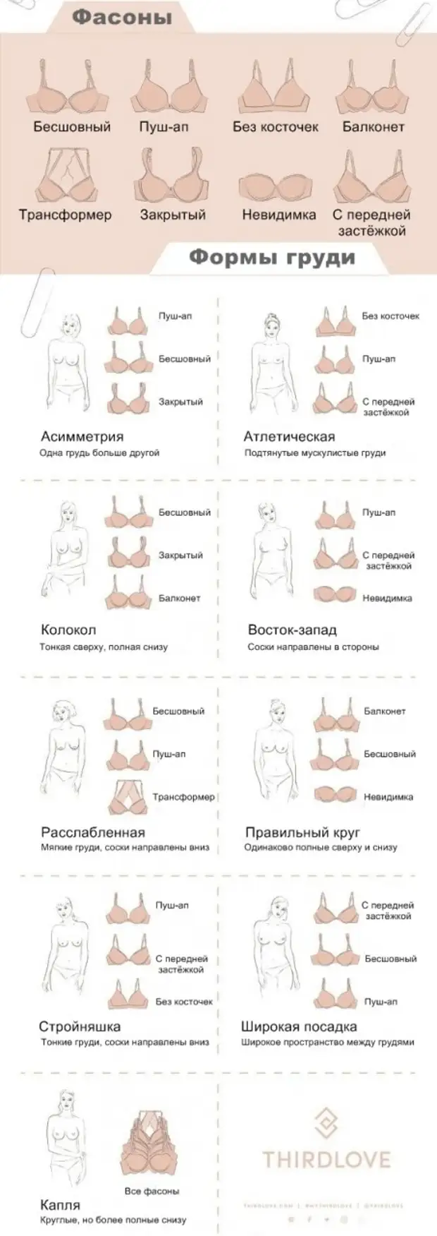 формы груди по названию у женщин фото 12