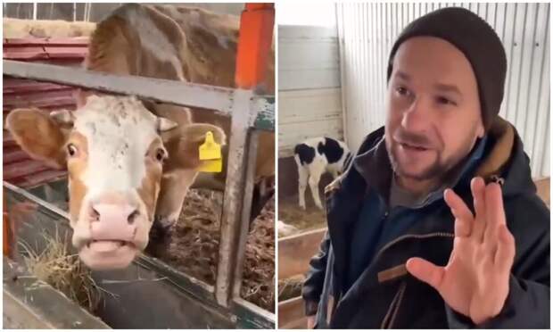 Коровашеринг — идея для инвестиций 2026 года