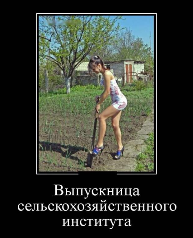 Веселые и забавные демотиваторы для хорошего настроения (11 фото) Веселые и забавные демотиваторы для хорошего настроения (11 фото)