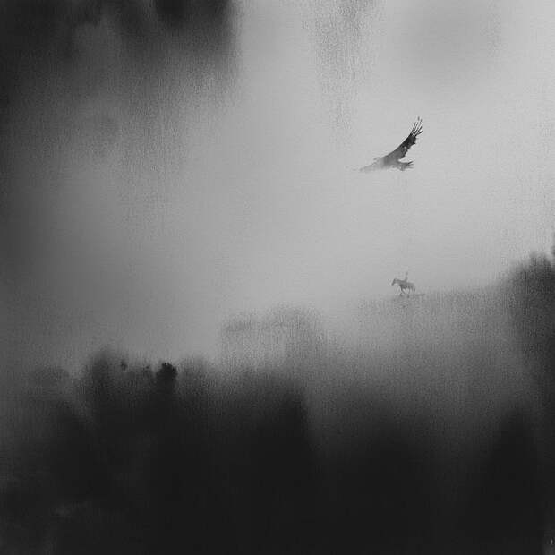 Черно-белые акварели Elicia Edijanto Черно-белые акварели Elicia Edijanto