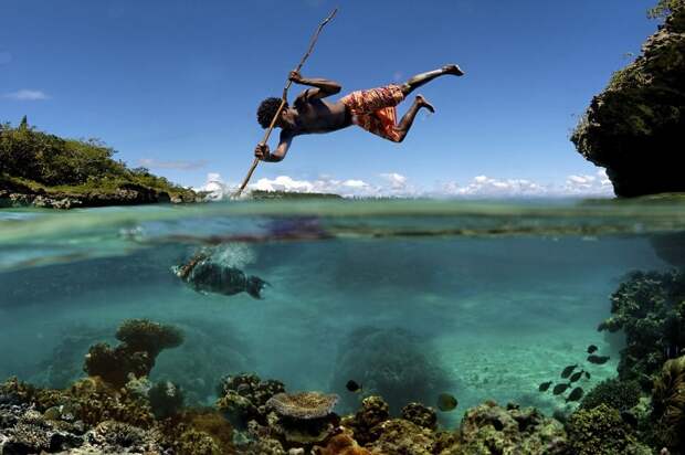 Что скрывается под водой: 34 невероятные фотографии